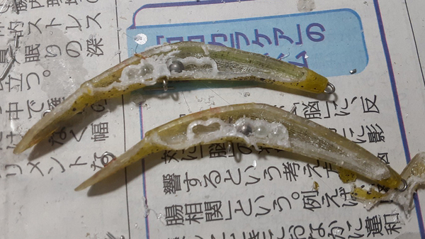 aoki__250725_7.jpg