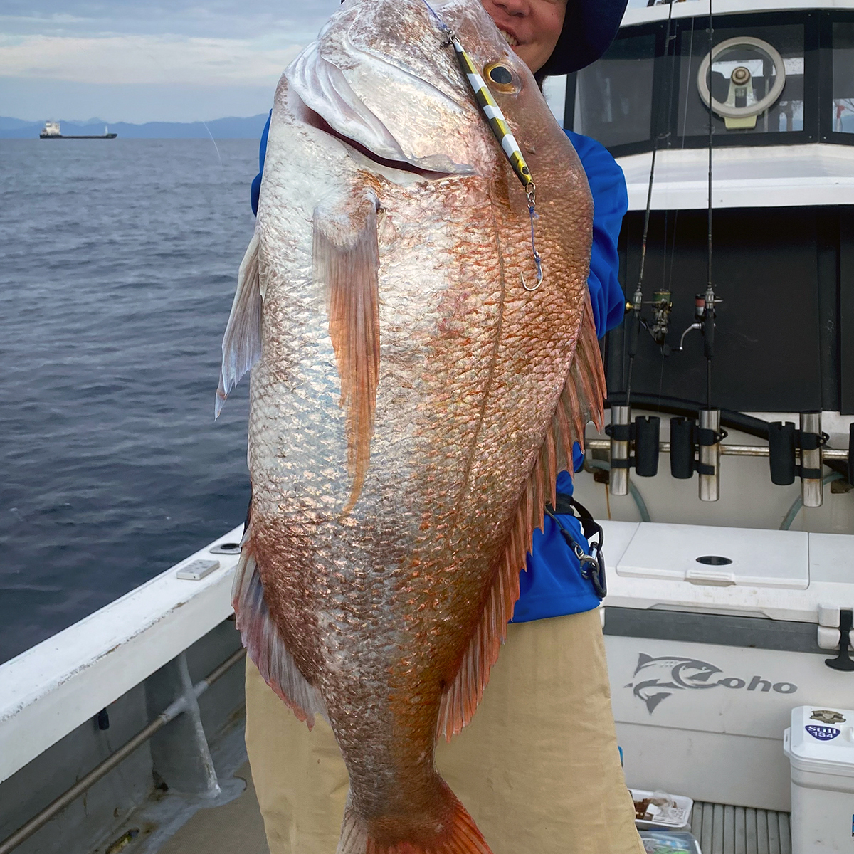 SLJ対応スリムジグ「スメルトSS」カラー（３）