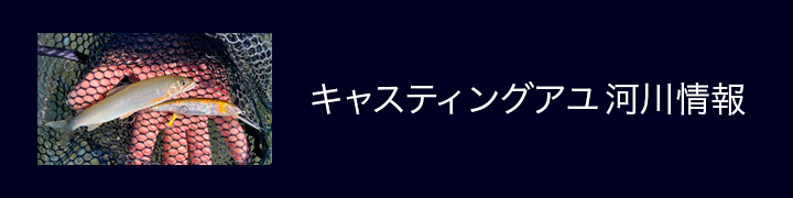 キャスティングアユ河川情報