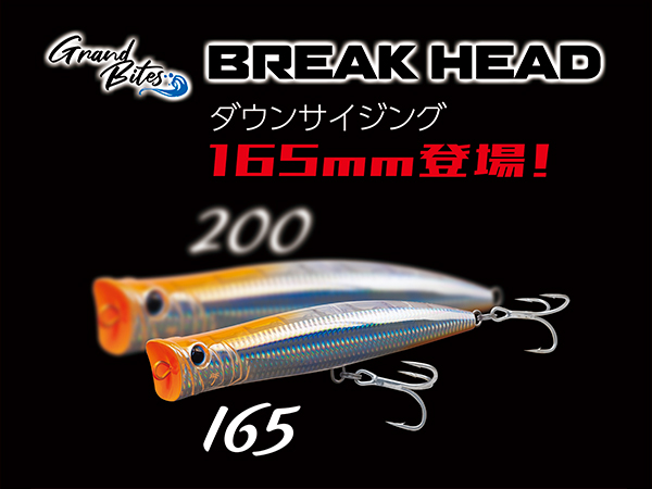 ブレイクヘッドに待望の165mmが登場！