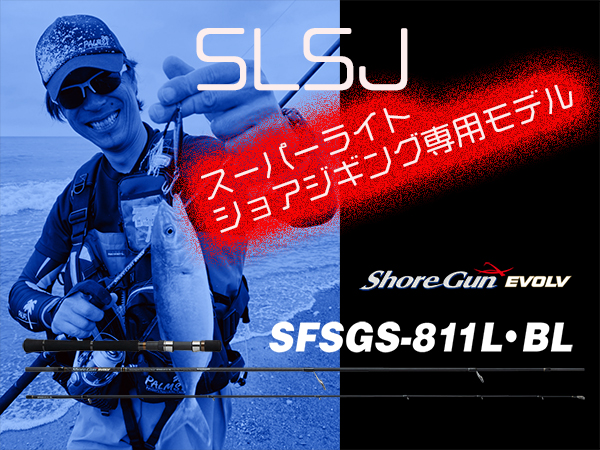 SLSJ専用モデル 811L